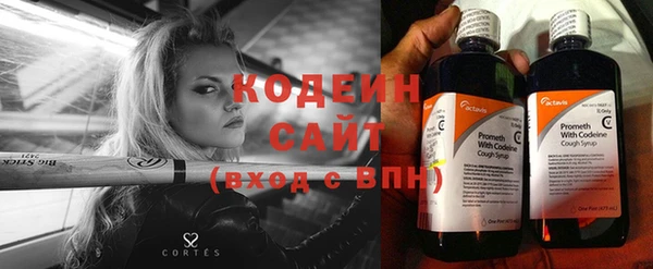 соль ск Кодинск