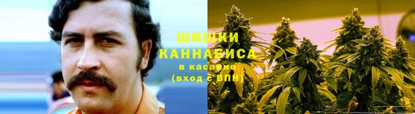 соль ск Кодинск
