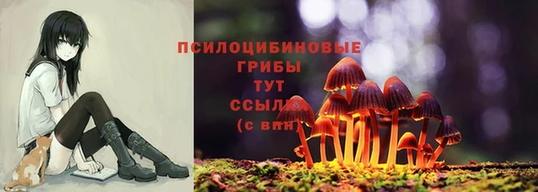 бошки Козловка