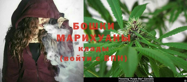 бошки Козловка