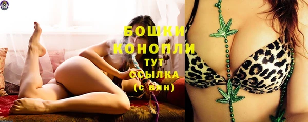 соль ск Кодинск