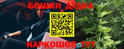 индика Изобильный