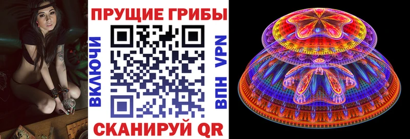Галлюциногенные грибы прущие грибы  Моздок 